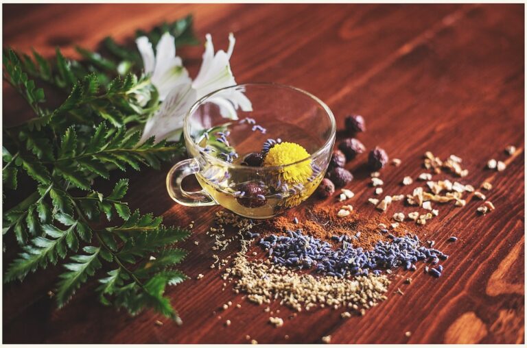 are herbal remedies better than antibiotics?