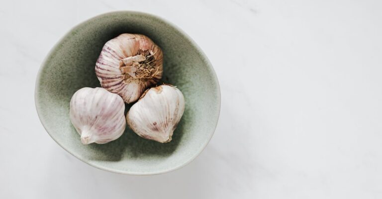 is raw garlic an antibiotic?