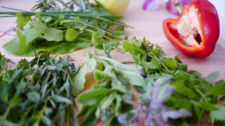 what are the 5 healthiest herbs?