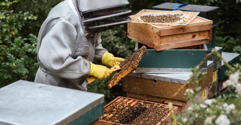 is honey a natural antibiotic?