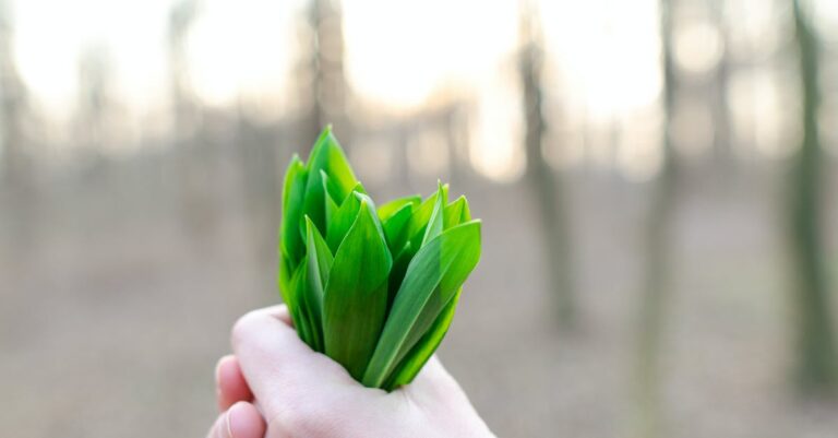 what are the positives of natural medicine?