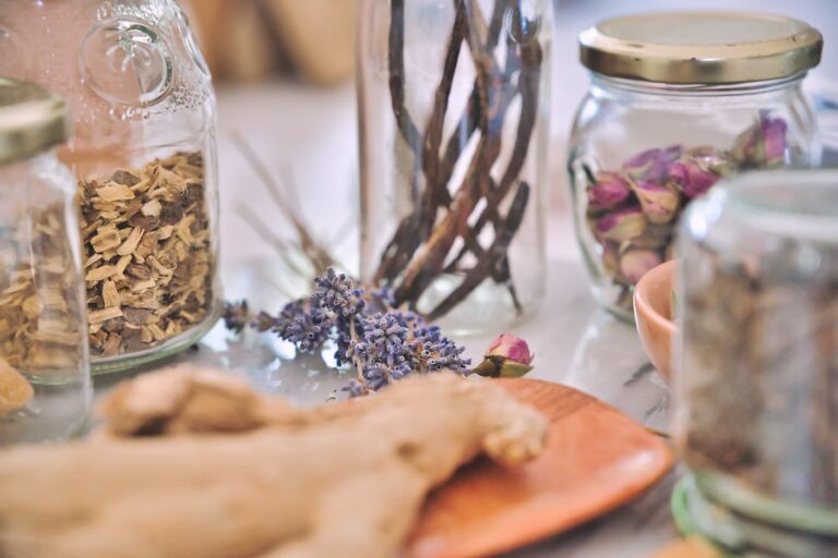 what are the pros and cons of herbal medicine?