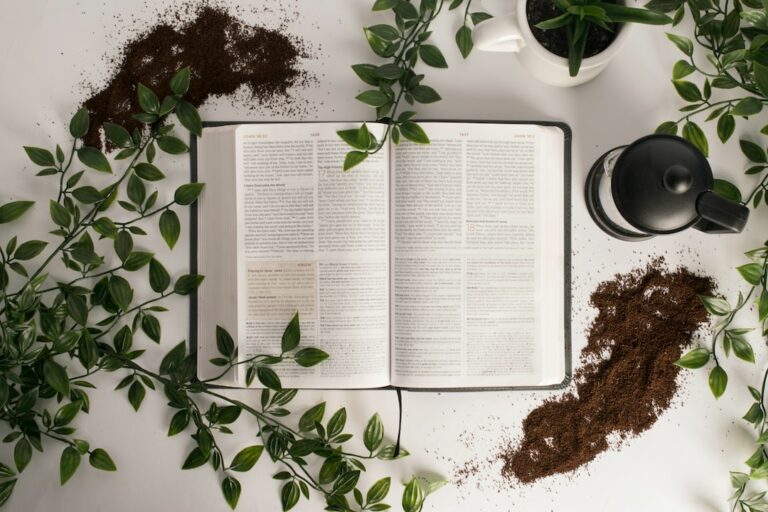 what is herb in the bible?