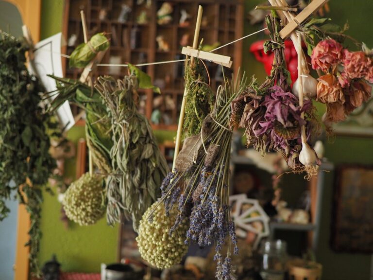 is herbalism illegal in the us?