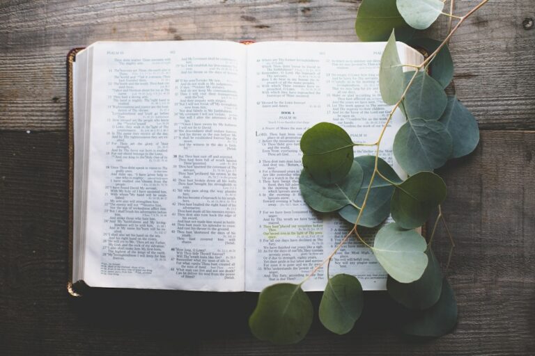 what is herb in the bible?